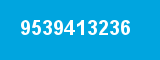 9539413236