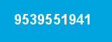9539551941