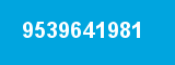 9539641981 9539641981