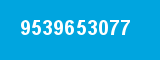 9539653077 9539653077