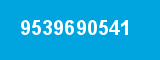 9539690541 9539690541