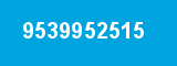 9539952515