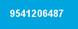 9541206487