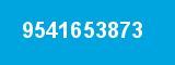 9541653873 9541653873