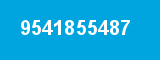 9541855487