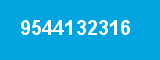 9544132316