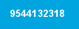 9544132318