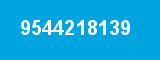 9544218139