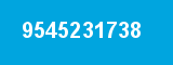 9545231738