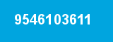 9546103611