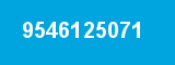 9546125071