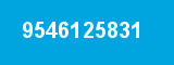 9546125831