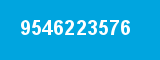 9546223576