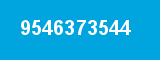 9546373544