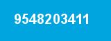 9548203411