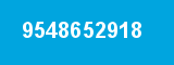 9548652918
