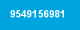 9549156981