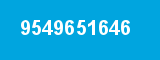 9549651646