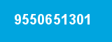9550651301
