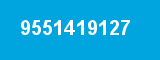 9551419127