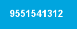 9551541312