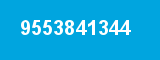 9553841344