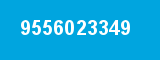 9556023349