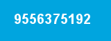 9556375192