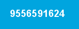 9556591624