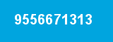 9556671313