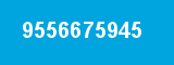 9556675945 9556675945