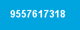 9557617318