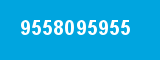 9558095955 9558095955