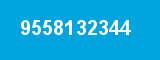 9558132344 9558132344