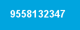 9558132347