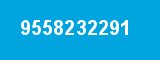 9558232291