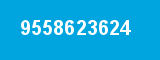 9558623624
