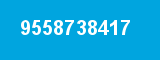 9558738417