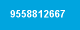 9558812667 9558812667