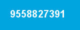 9558827391