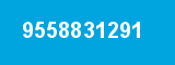 9558831291