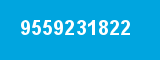 9559231822 9559231822