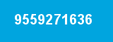 9559271636 9559271636
