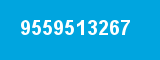 9559513267 9559513267