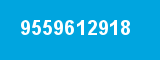 9559612918