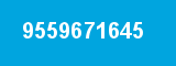 9559671645