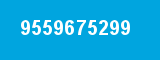 9559675299 9559675299