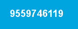 9559746119