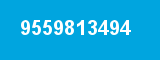 9559813494