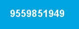 9559851949